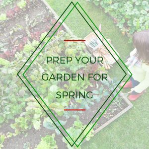 Prep Your Garden For Spring