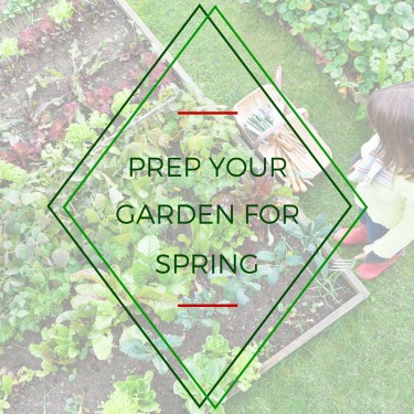 Prep Your Garden For Spring