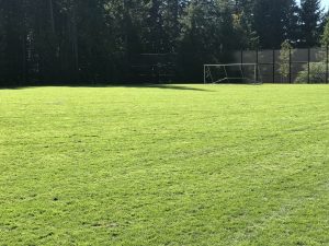 AXIS growing media for sports fields