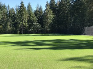 AXIS growing media for sport fields