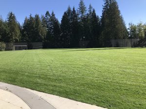 AXIS growing media for sports field and high traffic lawns