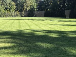AXIS - Web - Field (6)