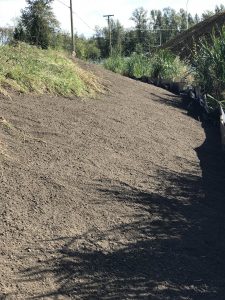 BC Ministry of Transport (MOT) approved growing media