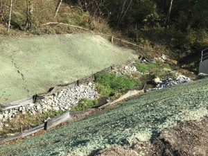 BC Ministry of Transport (MOT) approved growing media