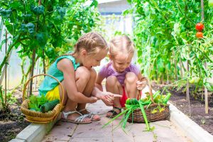 Boost premium growing media