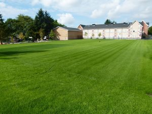 FibreLok growing media for school sports fields