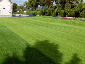 FibreLok growing media for school sports fields