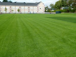 FibreLok growing media for sports fields