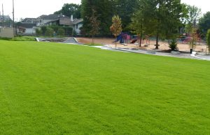 FibreLok growing media for sports fields