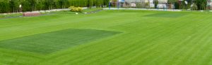 FibreLok growing media for school sports fields