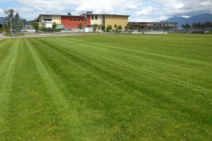 FibreLok growing media for sports fields