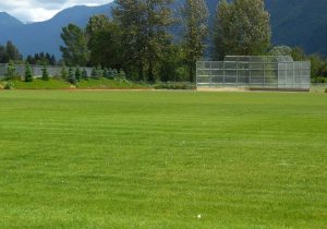 FibreLok growing media for sports fields