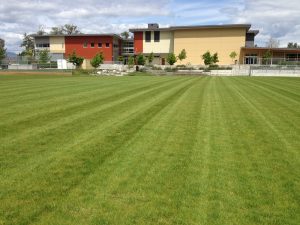FibreLok growing media for school sports fields