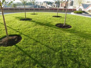 On-Slab Blend growing media for over slab structures