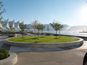 On-Slab Blend growing media for over slab structures
