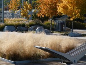 On-Slab Blend growing media for over slab structures
