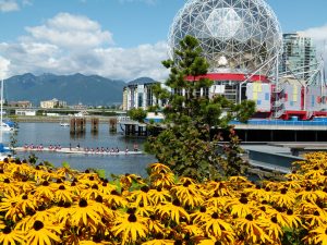 ProSoil growing media for planters and turf