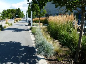 ProSoil premium growing media for planters and turf