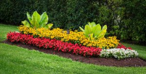 Flowerbed