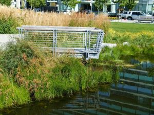 ProSoil growing media for planters and turf