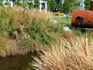 ProSoil growing media for planters and turf