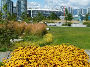ProSoil growing media for planters and turf