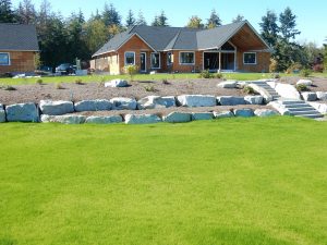 ProSoil growing media for planters and turf