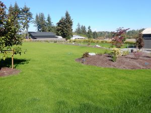 ProSoil growing media for planters and turf
