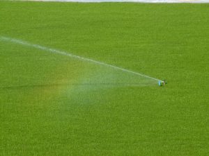 Rootzoone high performance growing media for sports fields