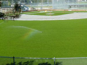 Rootzoone high performance growing media for sports fields