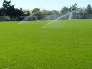 Rootzoone high performance growing media for sports fields