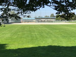 Rootzoone high performance growing media for sports fields