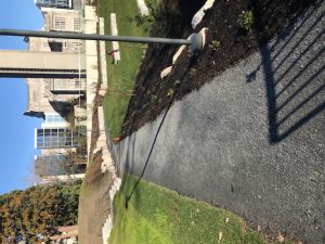 Stabilizer binder - Web - UBC Library Garden (2)