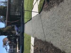 Stabilizer binder - Web - UBC Library Garden