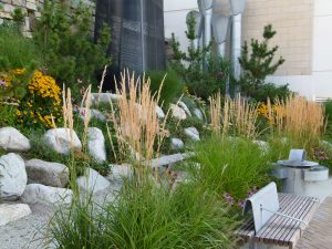 SureBASE Structural Soil