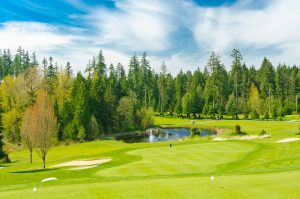 Thrive turf growing media