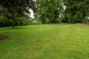 THRIVE turf growing media