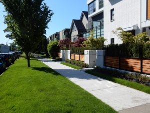 Terra turf growing media
