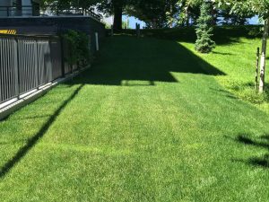 Terra turf growing media