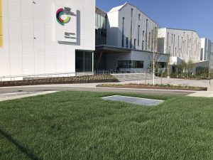 Terra turf growing media