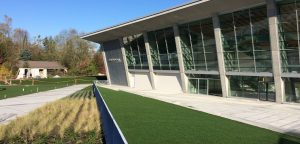 terra turf growing media