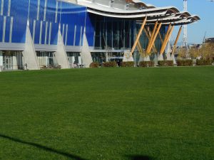 Terra turf growing media