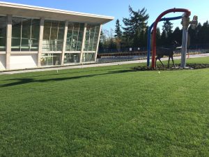 Terra turf growing media