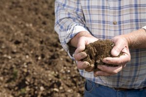 Thrive - Organic Compost - Growing Media for Agriculture applications