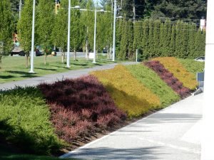 terra - Planter growing media