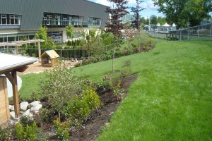 terra - Planter growing media