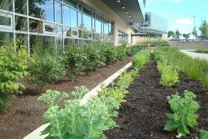 terra - Planter growing media