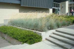 terra - Planter growing media