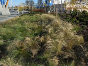 terra - Planter growing media