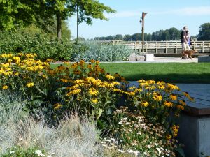 terra - Planter growing media